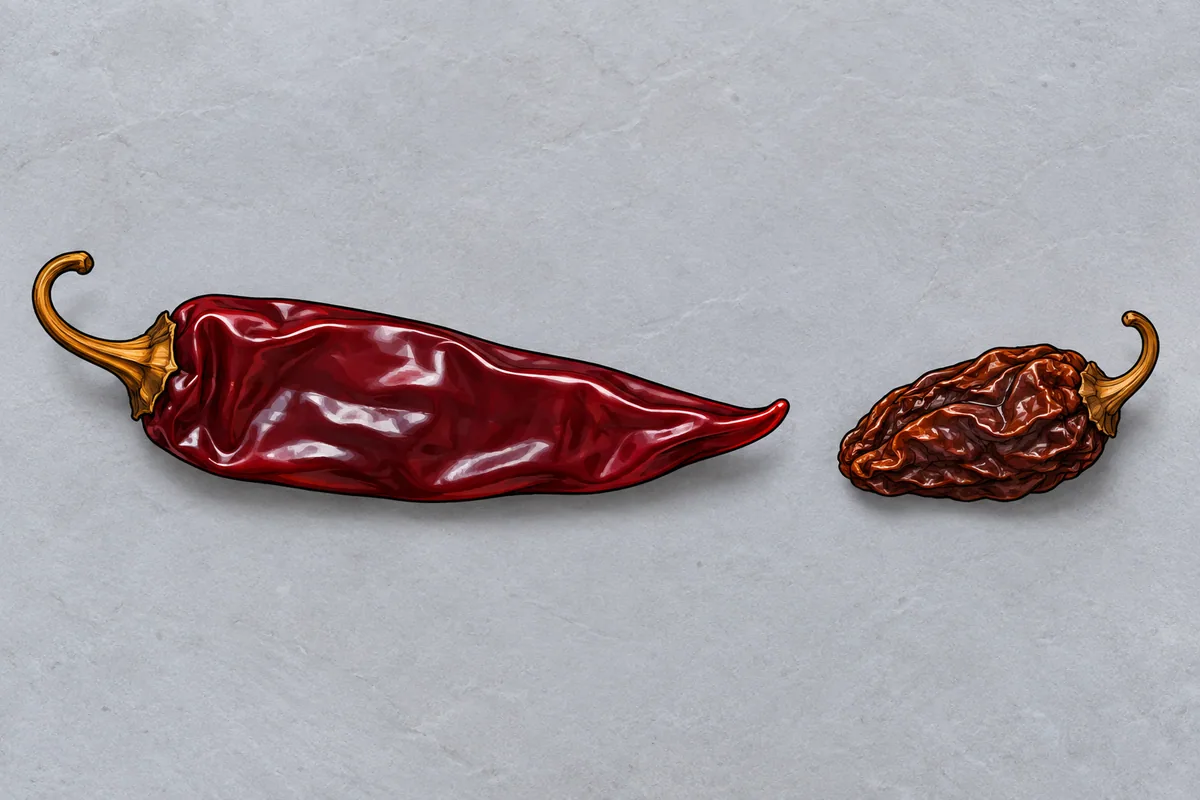 A long, smooth, glossy burgundy guajillo lying beside a short, deeply wrinkled tan-brown chipotle on grey slate, seen from above.