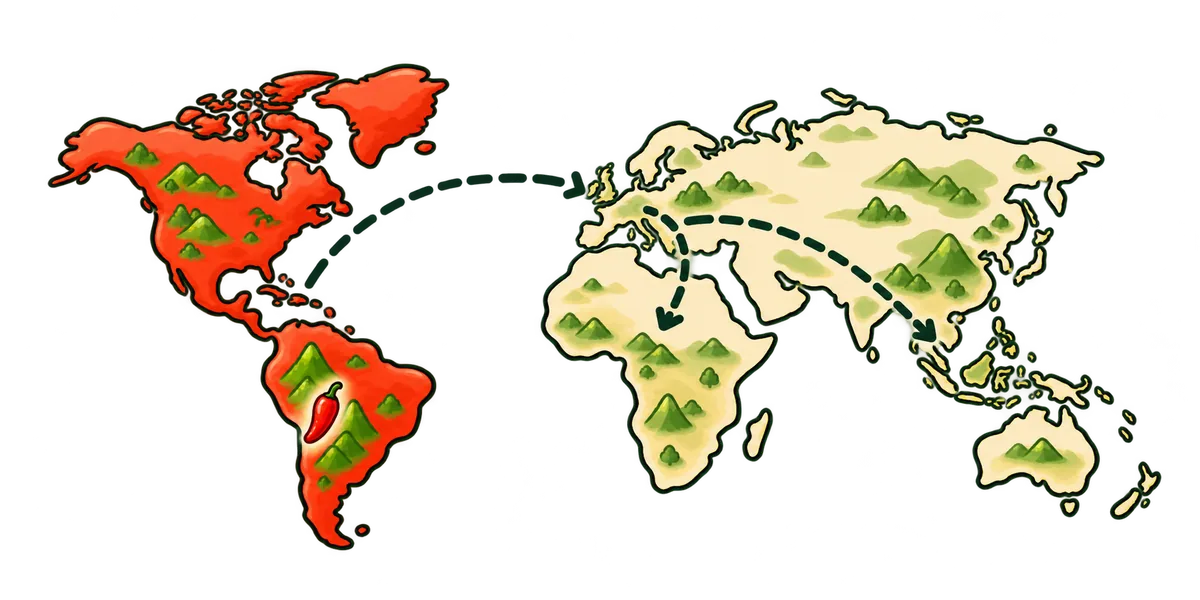 An illustrated world map with the Americas shaded red and dashed arrows sweeping from them across the Atlantic to Europe, then on to Africa and Asia.